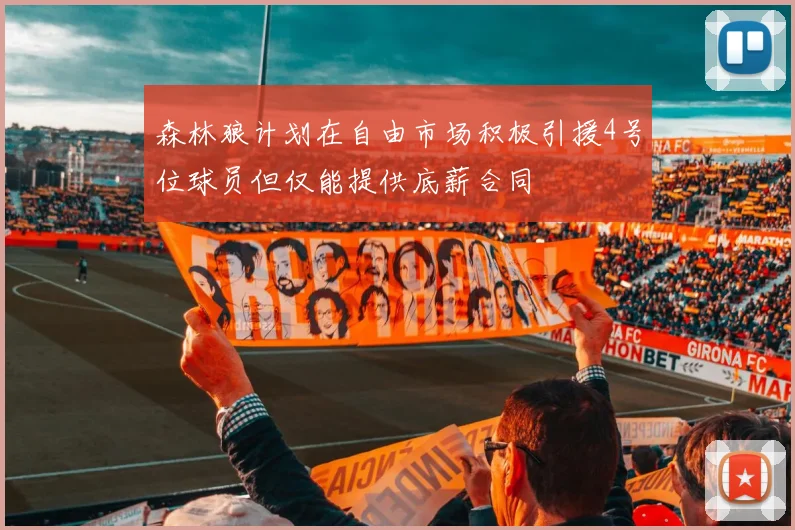 森林狼计划在自由市场积极引援4号位球员但仅能提供底薪合同
